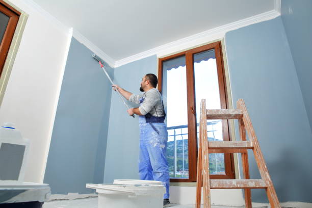 Best Drywall Sanding and Smoothing  in Highwood, IL